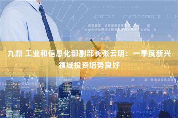 九鼎 工业和信息化部副部长张云明:一季度新兴领域投资增势良好