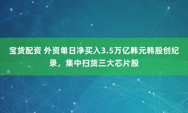 宝货配资 外资单日净买入3.5万亿韩元韩股创纪录，集中扫货三大芯片股