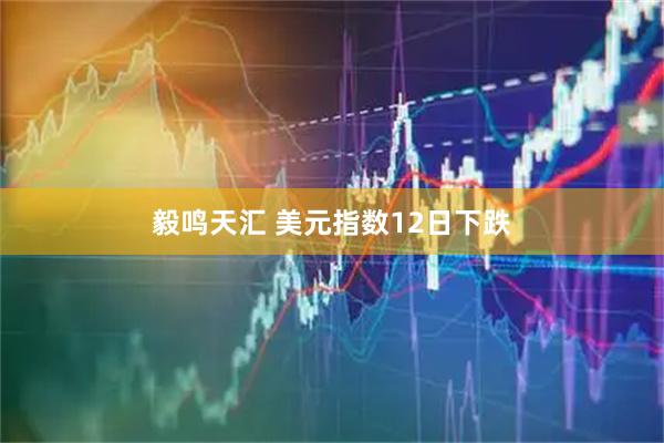 毅鸣天汇 美元指数12日下跌