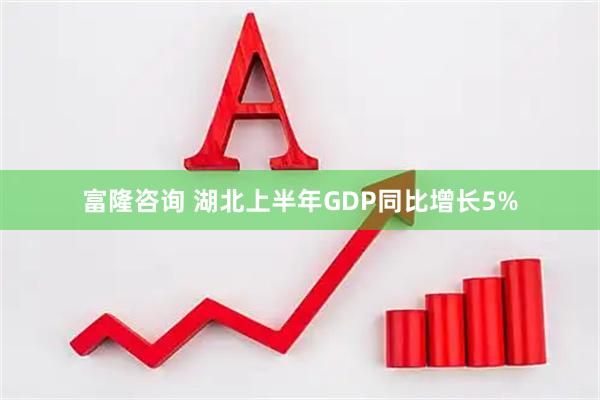 富隆咨询 湖北上半年GDP同比增长5%